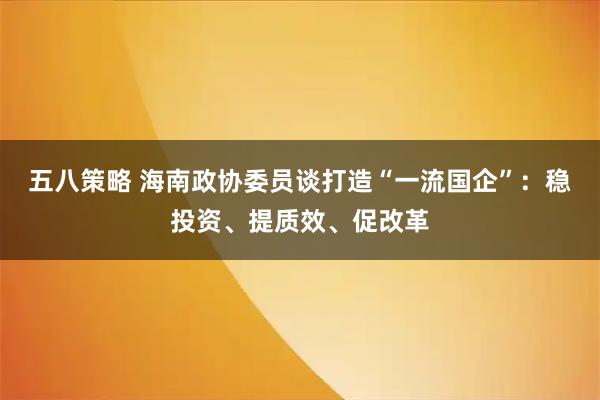 五八策略 海南政协委员谈打造“一流国企”：稳投资、提质效、促改革