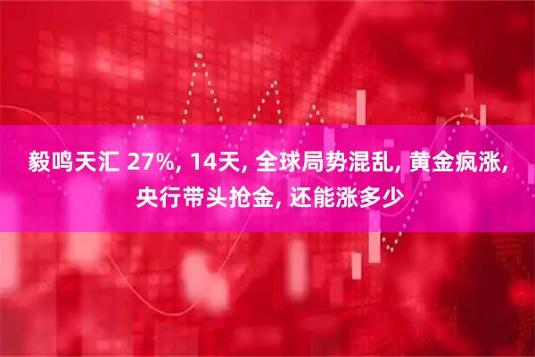 毅鸣天汇 27%, 14天, 全球局势混乱, 黄金疯涨, 央行带头抢金, 还能涨多少