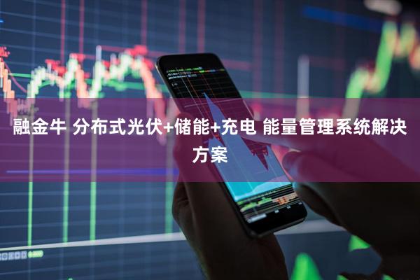 融金牛 分布式光伏+储能+充电 能量管理系统解决方案